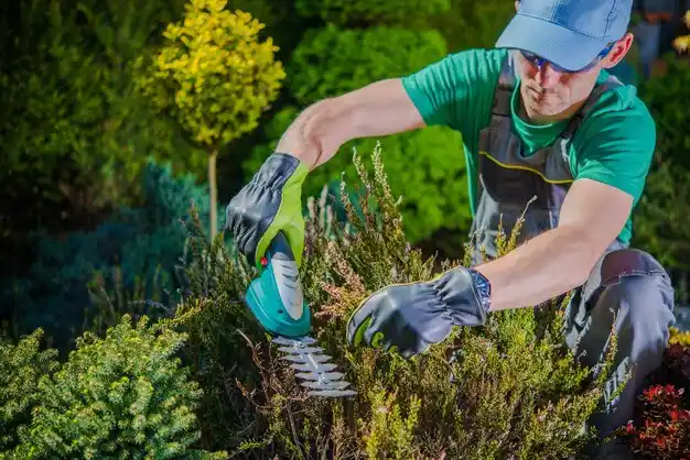 landscaping services Minorca
